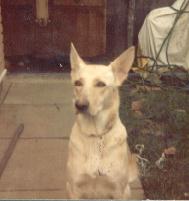 Sheba 1