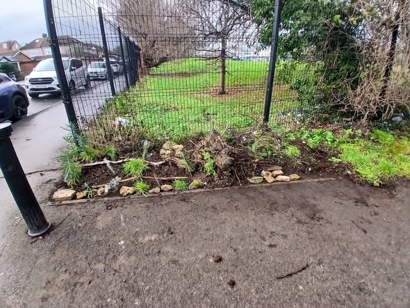 The Ride entrance after planting